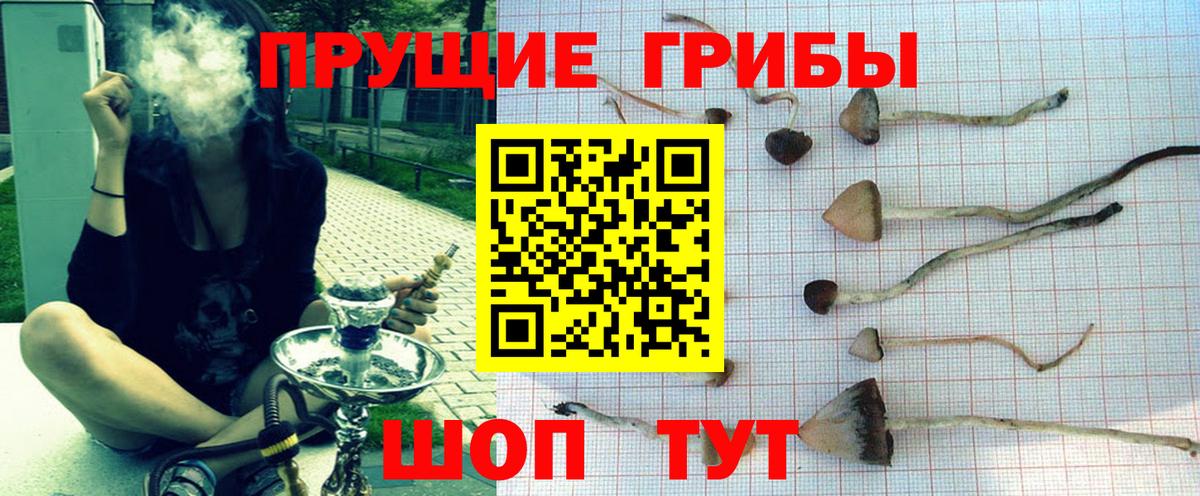 Галлюциногенные грибы мухоморы  Псилоцибиновые грибы мухоморы  Хабаровск  Вход с VPN 